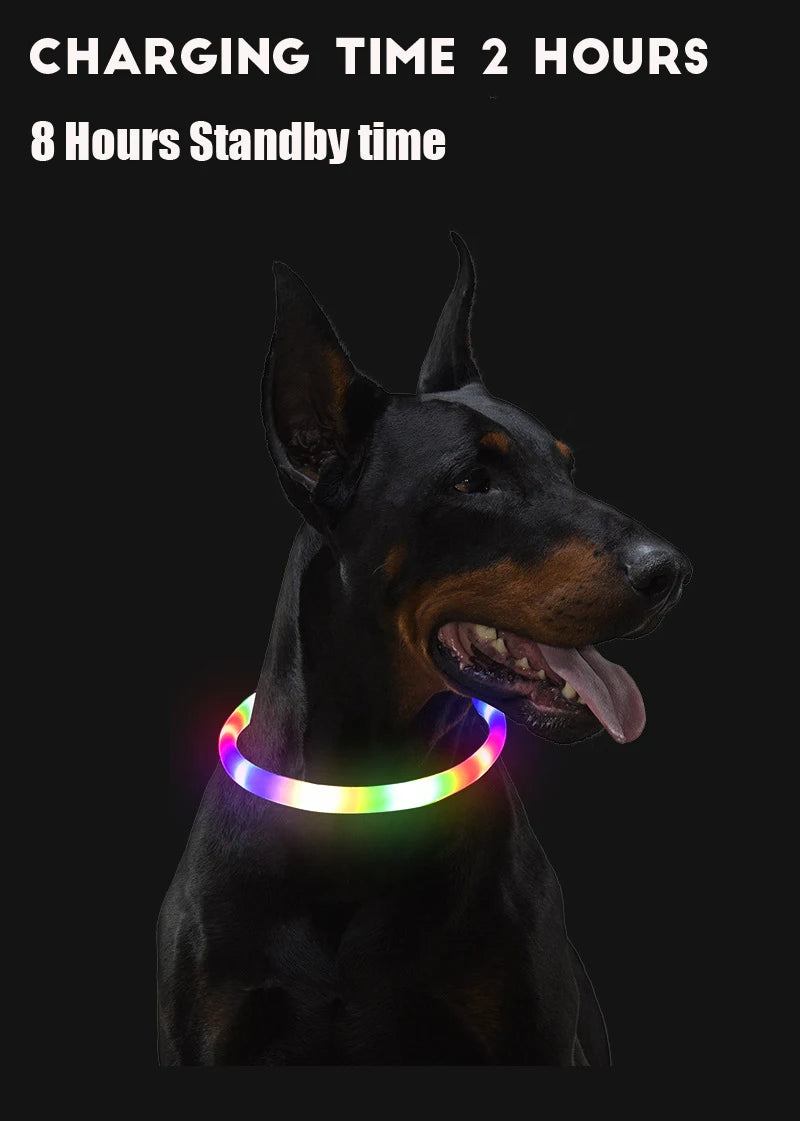 LED Glowing Dog Collar