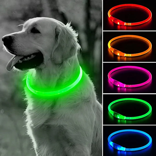 LED Glowing Dog Collar