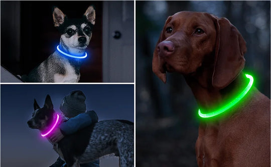 LED Glowing Dog Collar