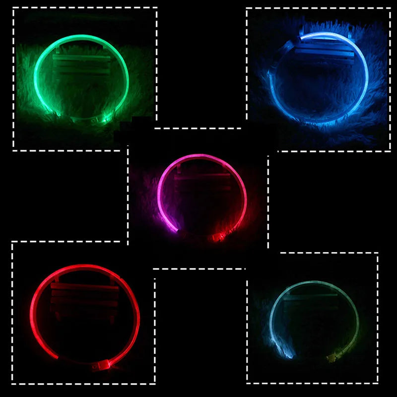 LED Glowing Dog Collar