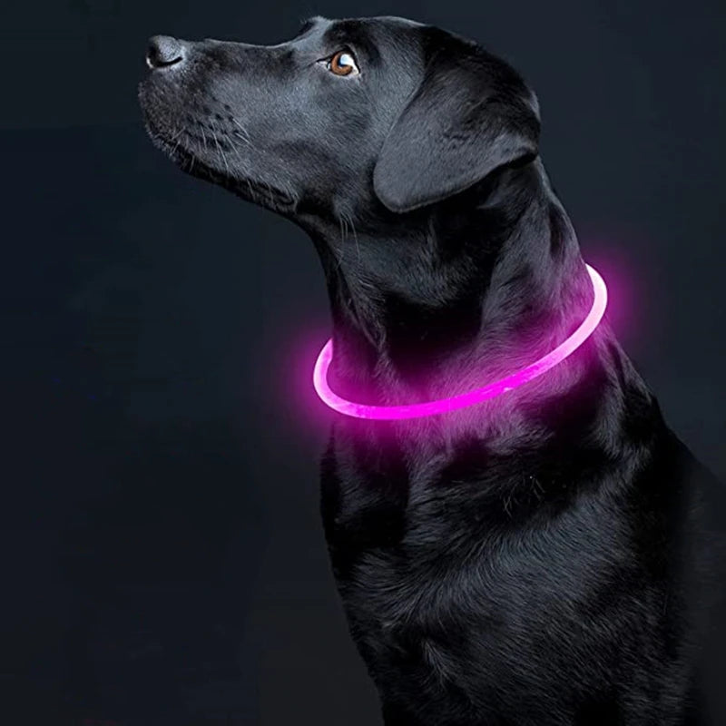 LED Glowing Dog Collar